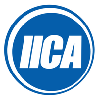 Company name - IICA