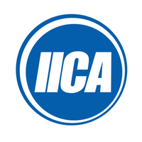 Company name - IICA