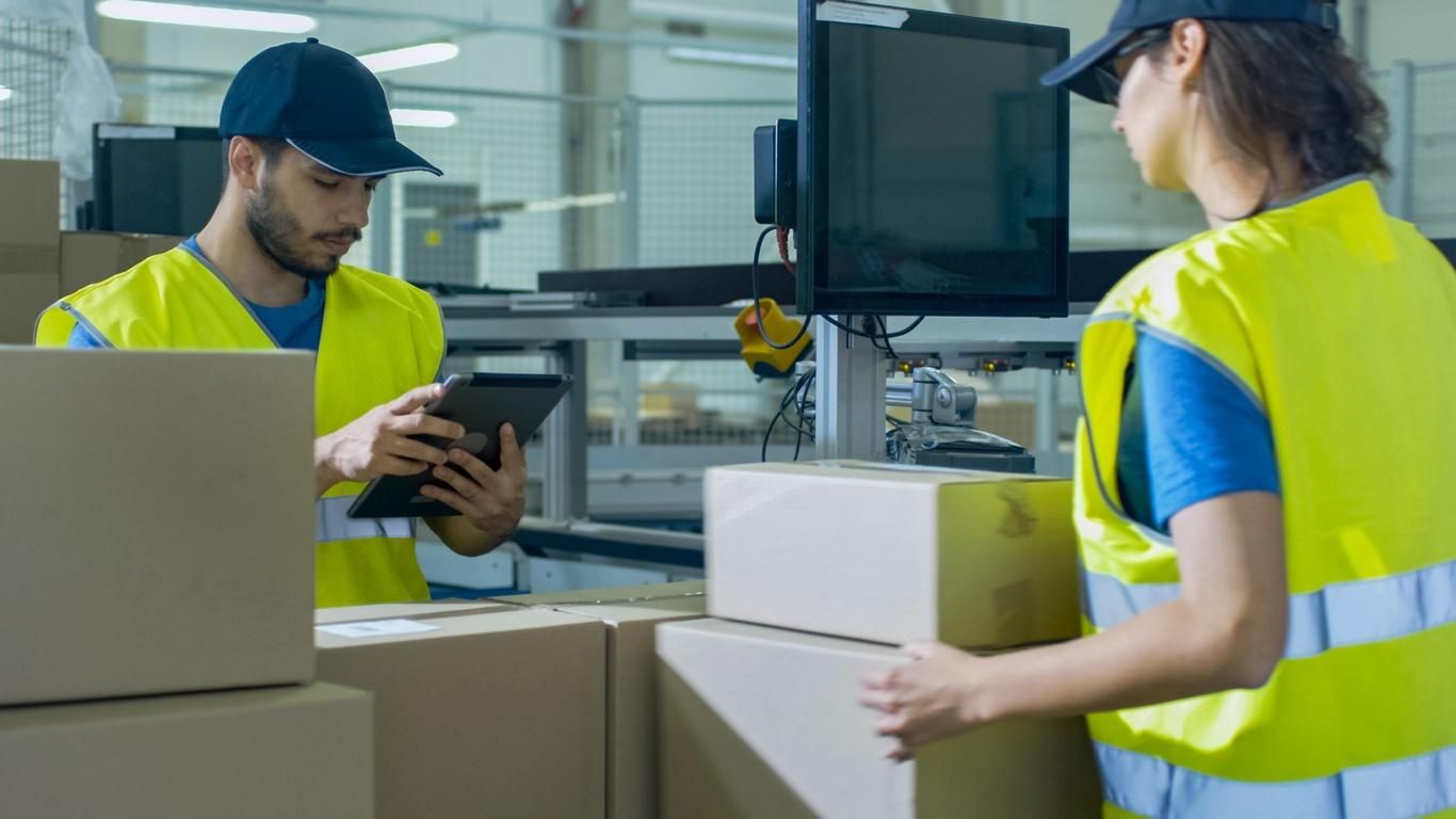 New software and IT logistics shaping the future of warehouse management