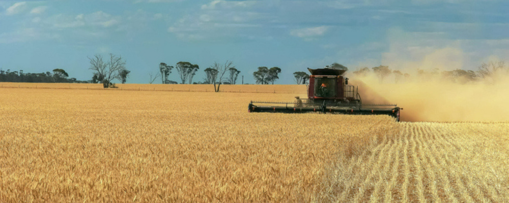 FutureAg 