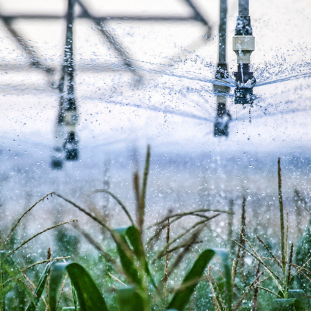Irrigation Pavilion