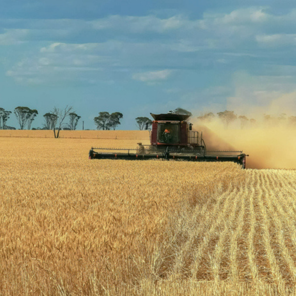 Grain Automate 