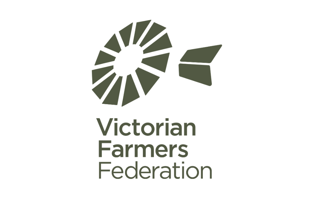 VFF