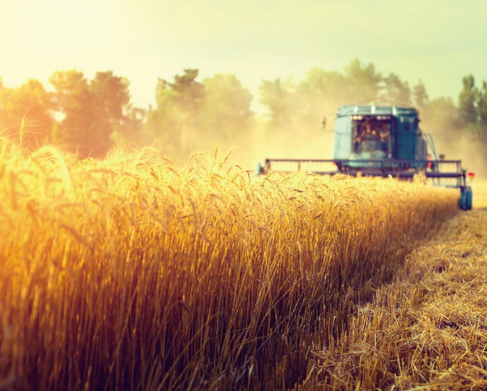 Exhibitors Cereals 2021 Your Industry. Your Arable Event