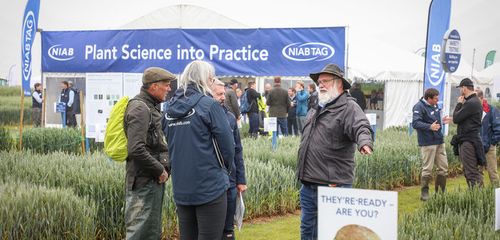 Varieties at the heart of Cereals 2021