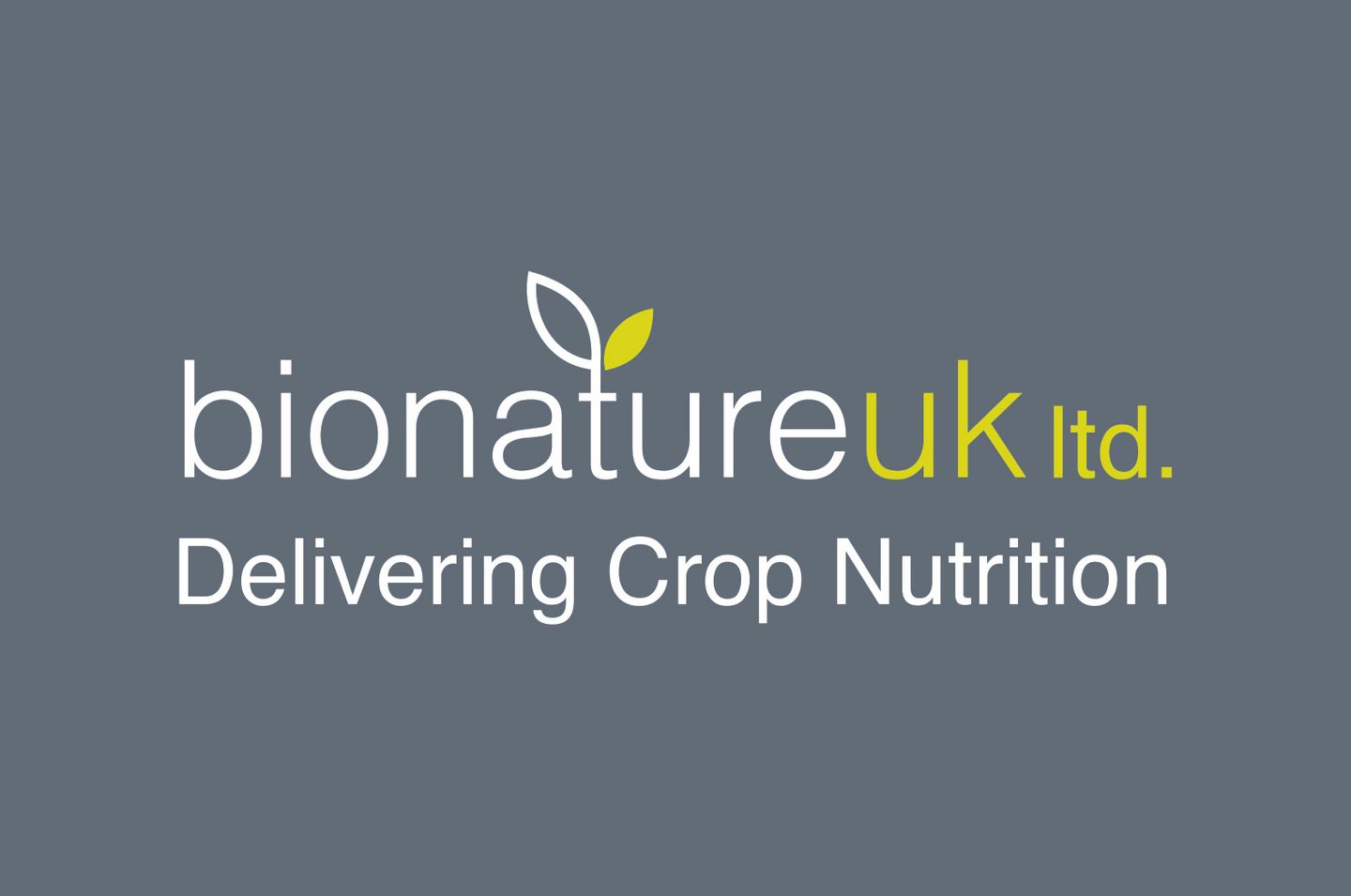 Cereals 2024 Cereals 2024