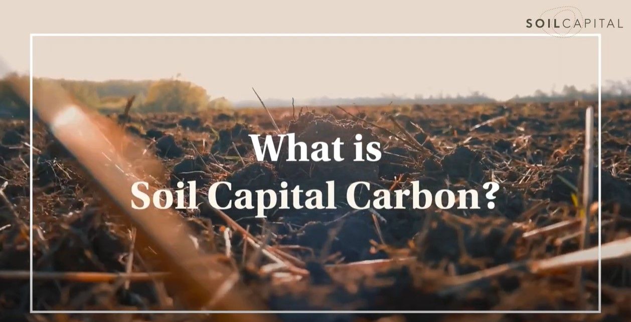 What is Soil Capital Carbon?