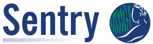 SENTRY BUSINESS SOLUTIONS