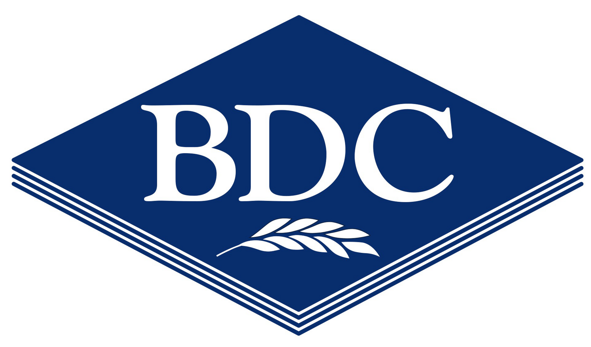 BDC SYSTEMS LTD