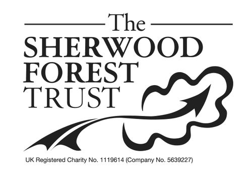 THE SHERWOOD FOREST TRUST