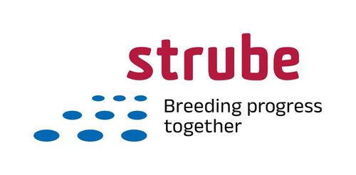 STRUBE UK LTD