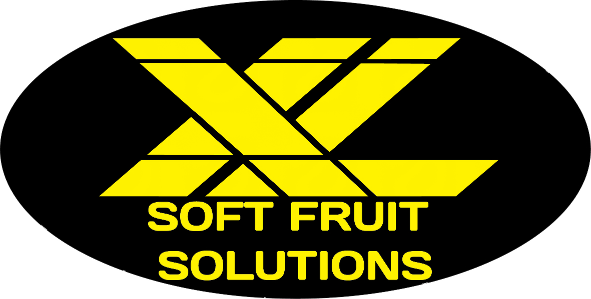 XL logo for FF sponsor page