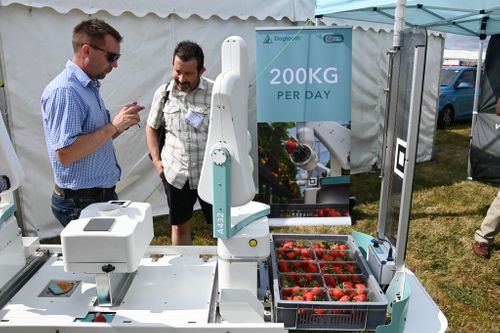 Strawberry tech on display