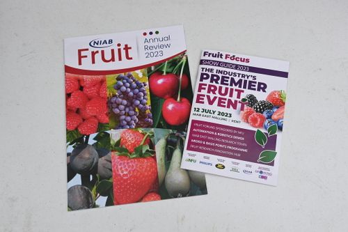 Fruit Focus event guide