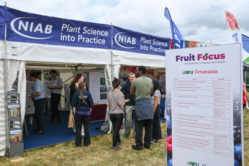 NIAB stand