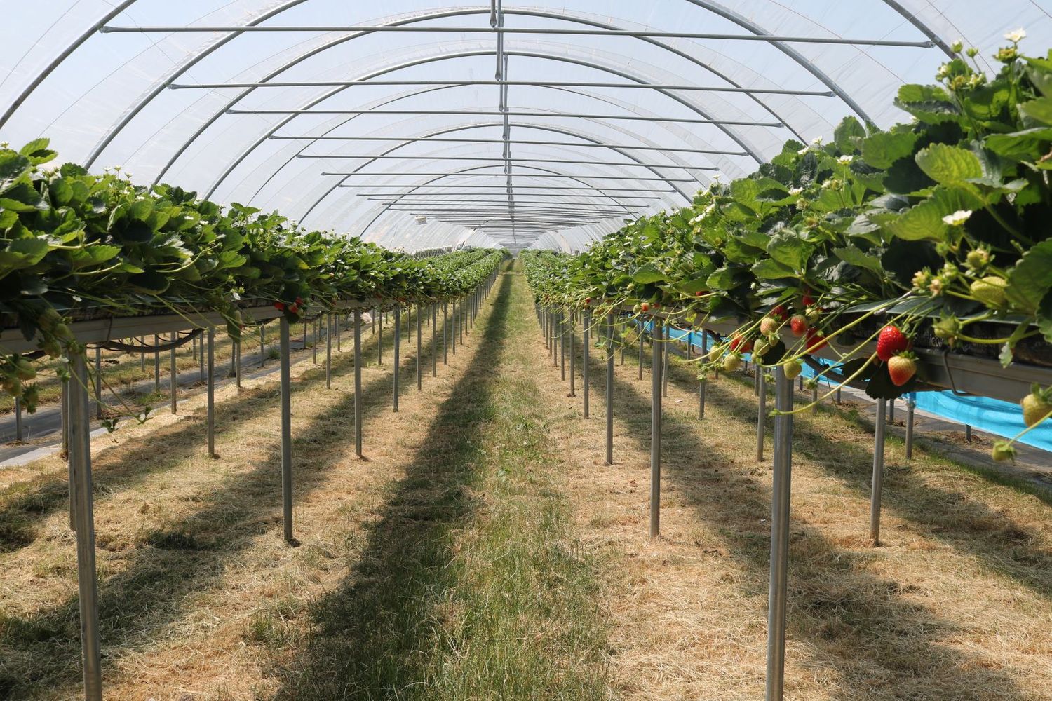 AGRI-TECH SERVICES (UK) LTD
