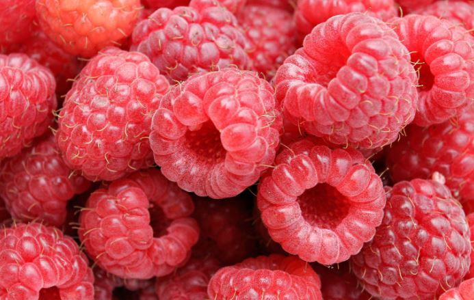 Yaratera Kristalon Scarlet Fruit Focus 2020 Fruit Focus Is The Pinnacle Event For The Fruit Industry Mozhna zastosovuvati yak u vіdkritomu, tak і v zakritomu gruntі dlya usіh tipіv zroshuvalnih sistem. yaratera kristalon scarlet fruit