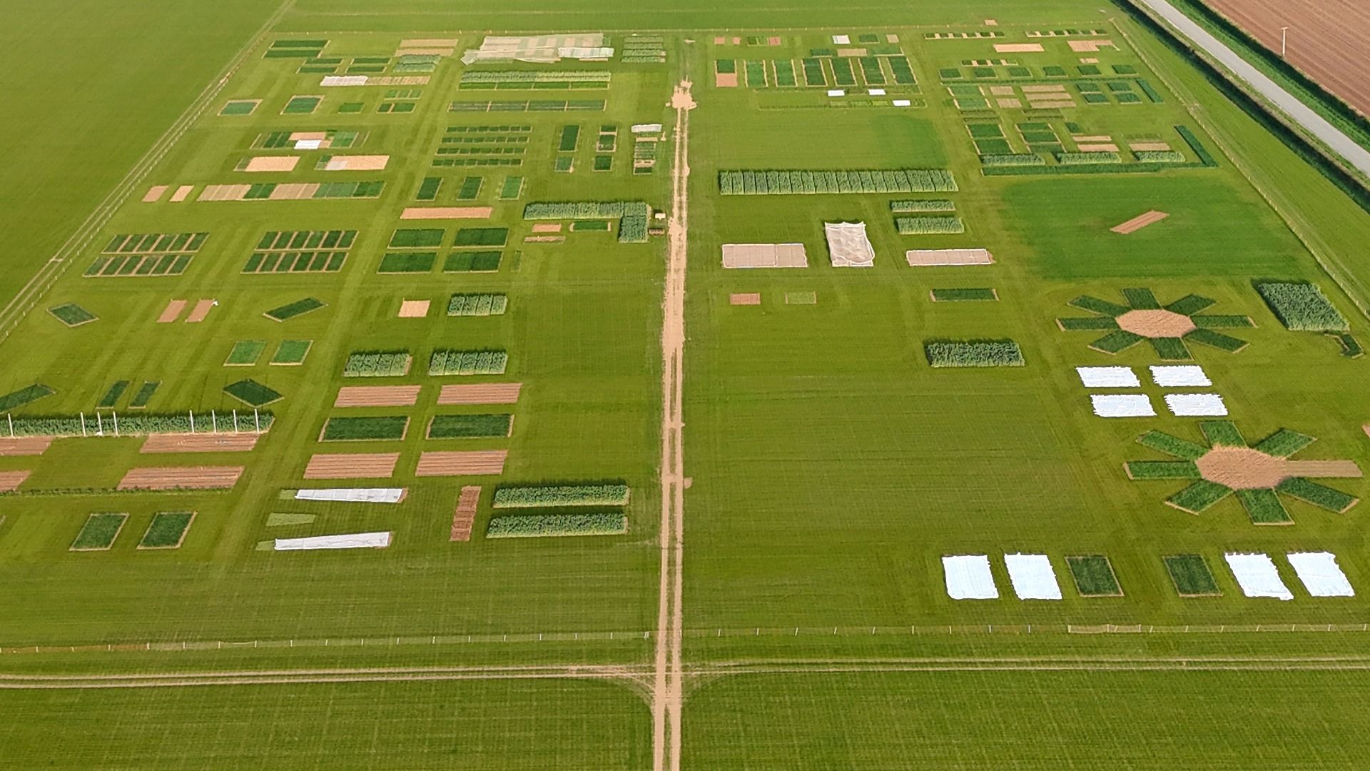 crop plots
