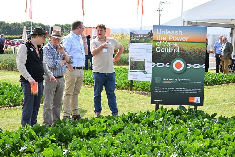 crop plots