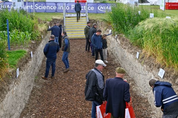 2024 soil hole
