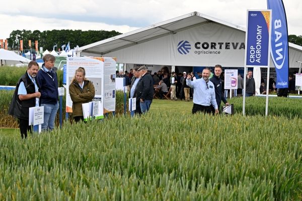 2024 crop plots