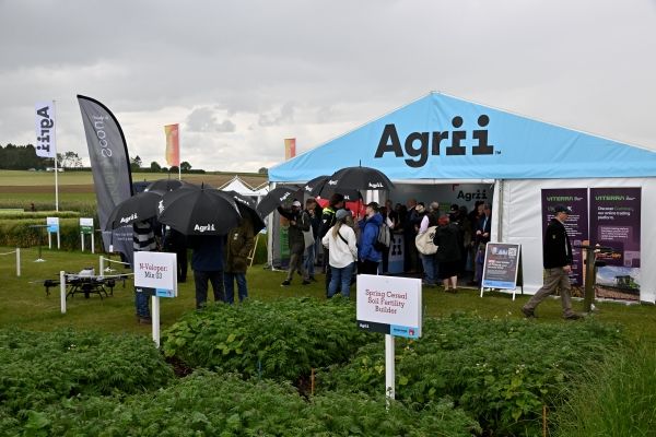 2024 crop plots