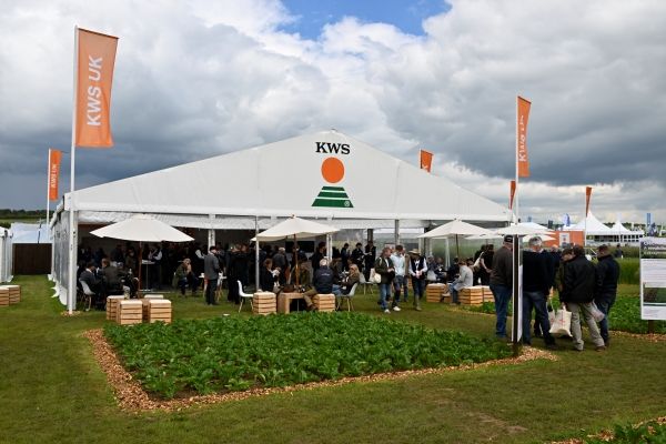 2024 crop plots