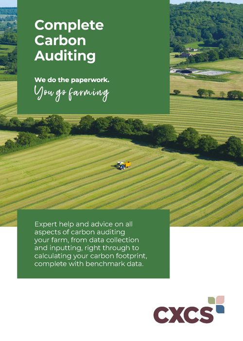 Carbon Auditing