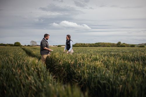 Why Choose Nitrates?