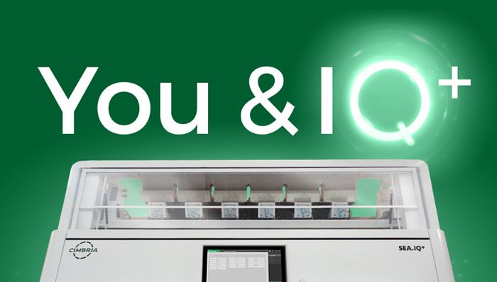 SEA.IQ PLUS and BRAIN: The AI For Optical Sorters