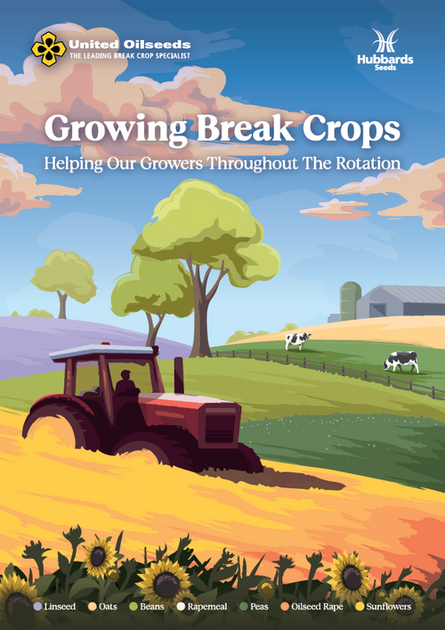 Growing Break Crops 2024