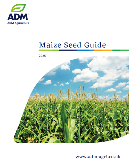 Maize Seed Varieties 2025