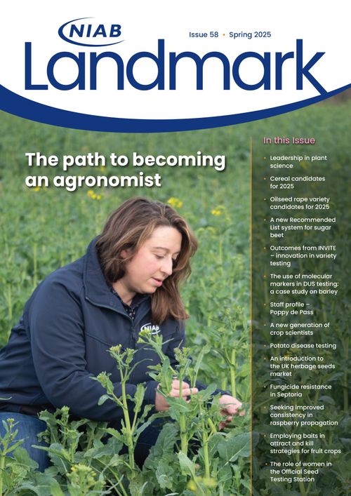 Landmark: Issue 58 Spring 2025