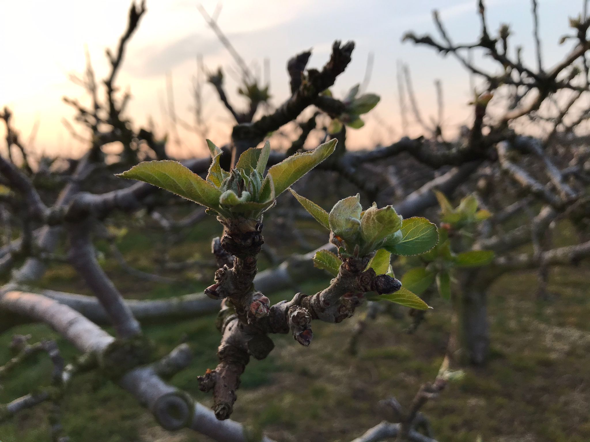 The biological one-stop shop to help reduce carbon footprints, lower input costs and boost yields