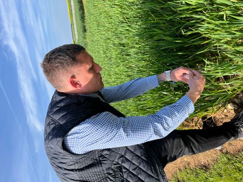 Crop Plot Showcase: Yara