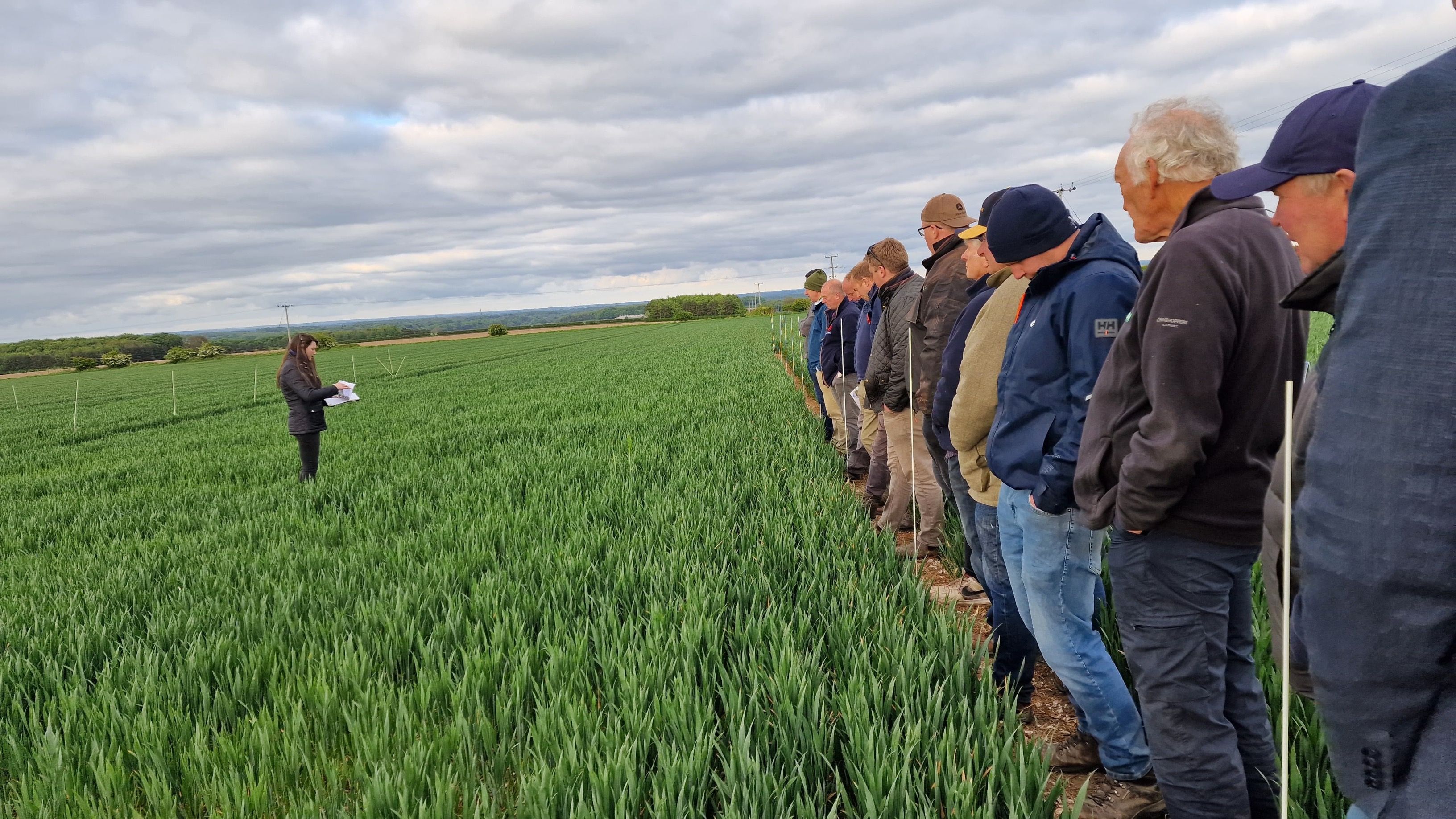 Yara UK to showcase crop nutrition innovations at Cereals 2025