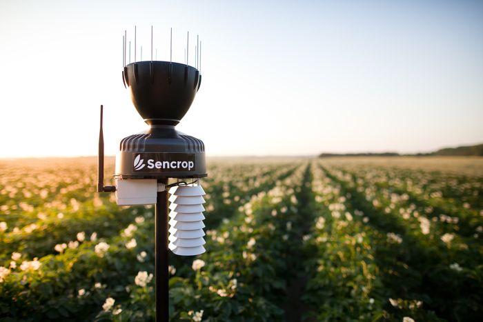 Raincrop, connected Raingauge