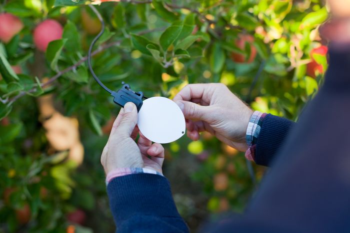 Leafcrop, connected wetness sensor