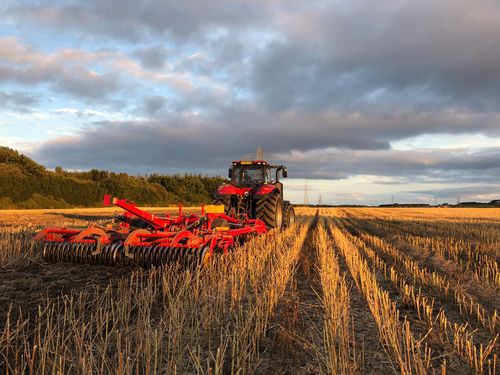 BSc (Hons) Agriculture