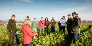 BSc (Hons) Agriculture with Crop Management