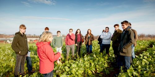 BSc (Hons) Agriculture with Crop Management