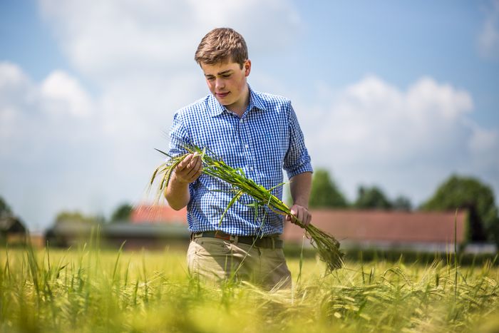 BSc (Hons) Agriculture with Crop Management