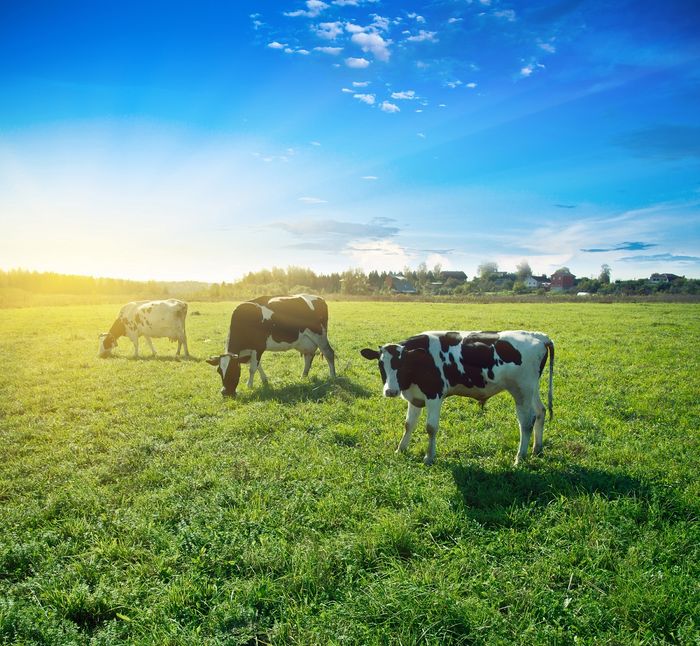 Agricultural Compliance
