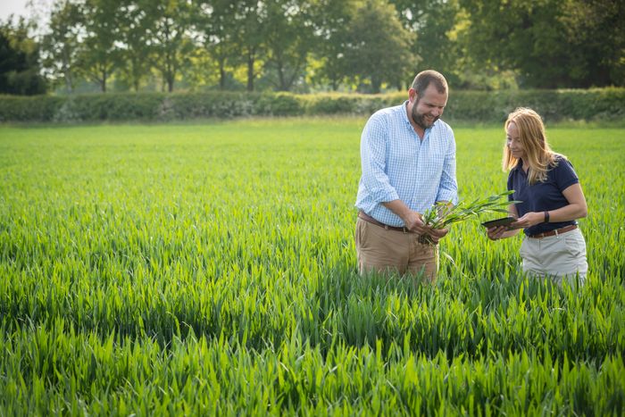 Foliar Nutrition
