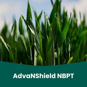 ADVANSHIELD NBPT