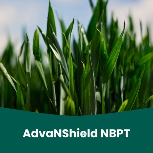 ADVANSHIELD NBPT