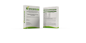 Encera WG -