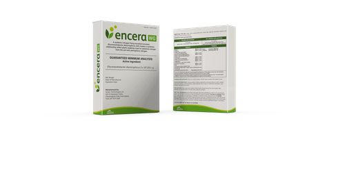 Encera WG -