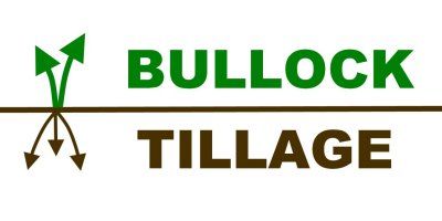 BULLOCK TILLAGE