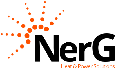 NERG LTD